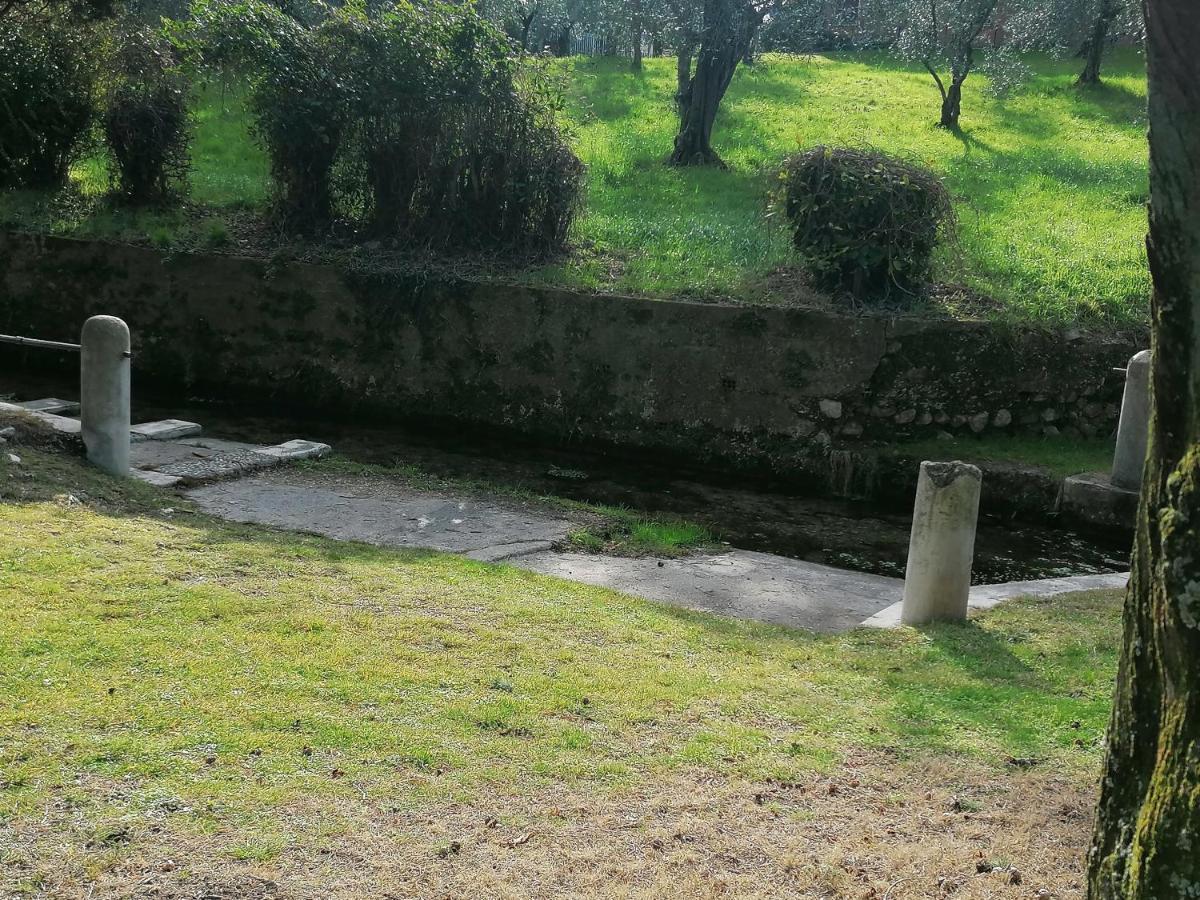 Bilocale Papavero, Magnolia O Girasole San Felice del Benaco Kültér fotó