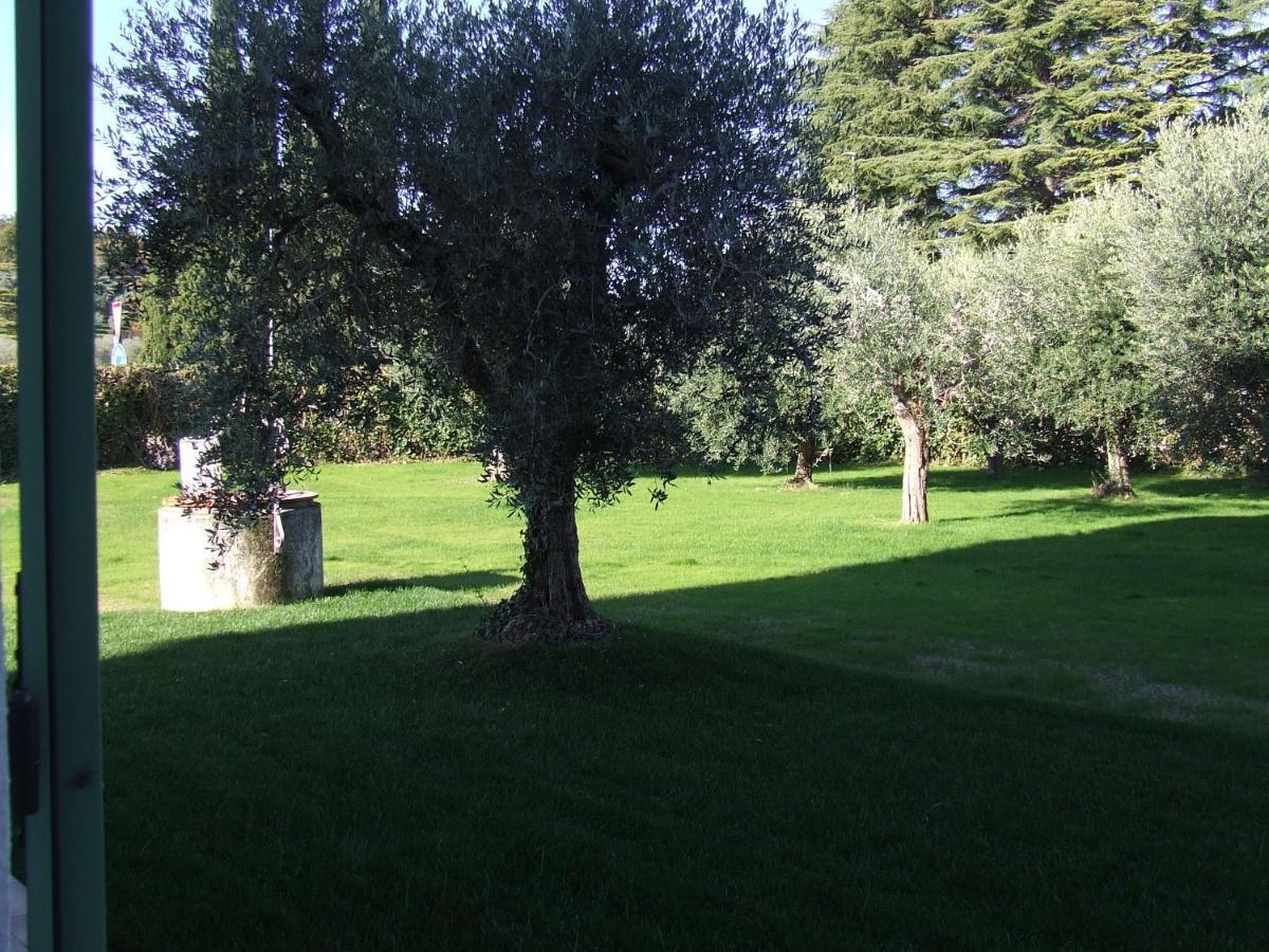 Bilocale Papavero, Magnolia O Girasole San Felice del Benaco Kültér fotó